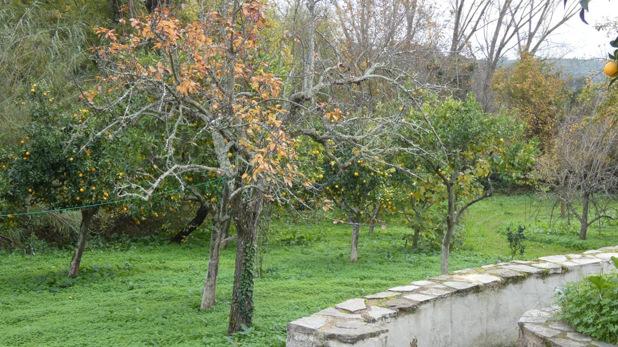 Casa Rural El Riandero Linares de la Sierra Exterior foto