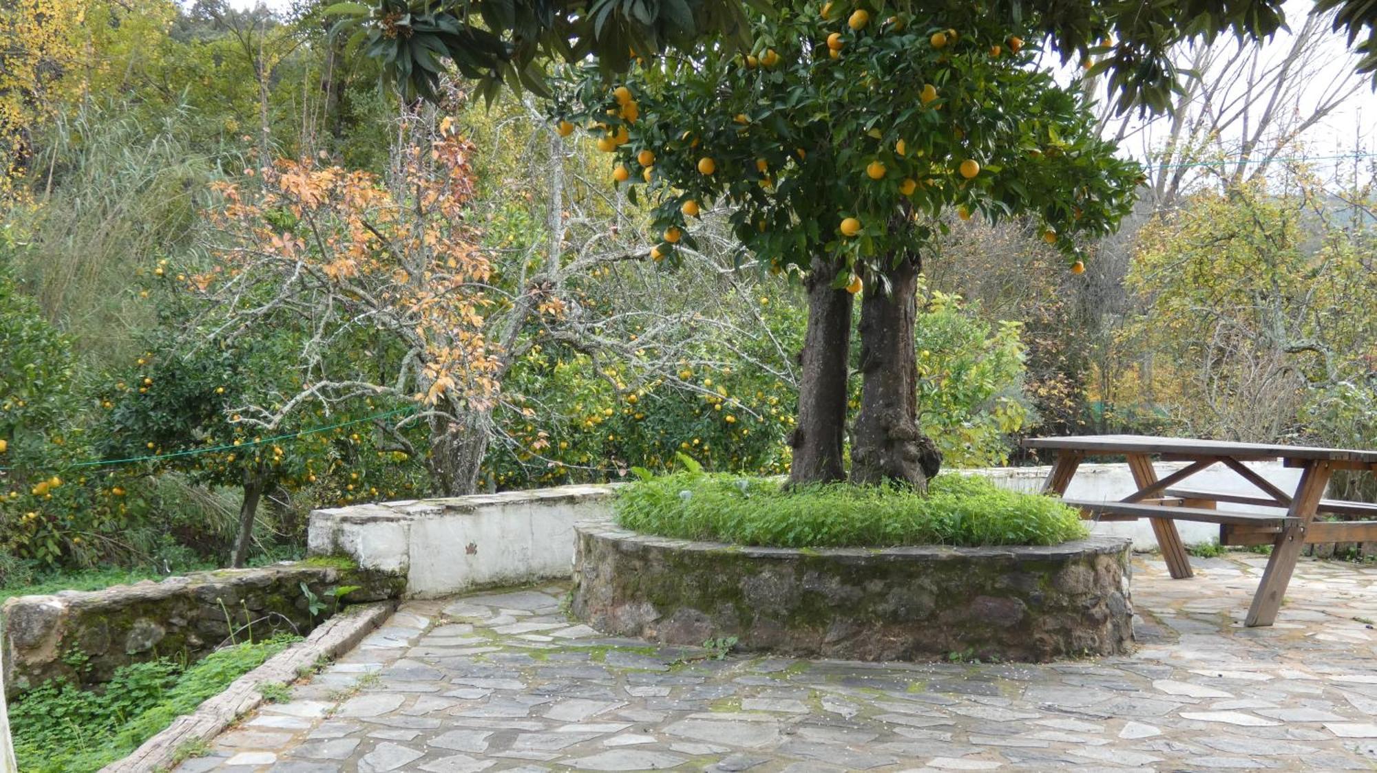 Casa Rural El Riandero Linares de la Sierra Exterior foto